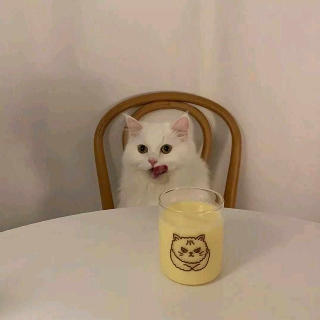 巛
