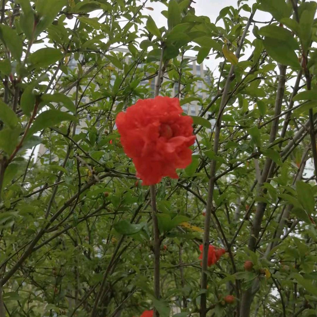 风风雨雨过一生