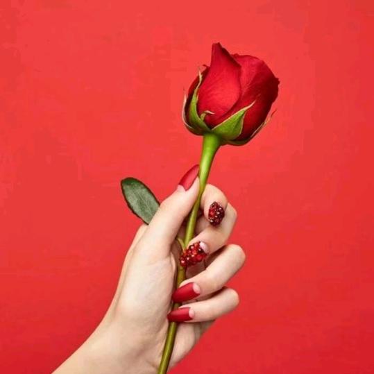 芝罘区虹媛美容美体店