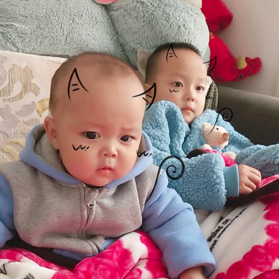 系统门窗