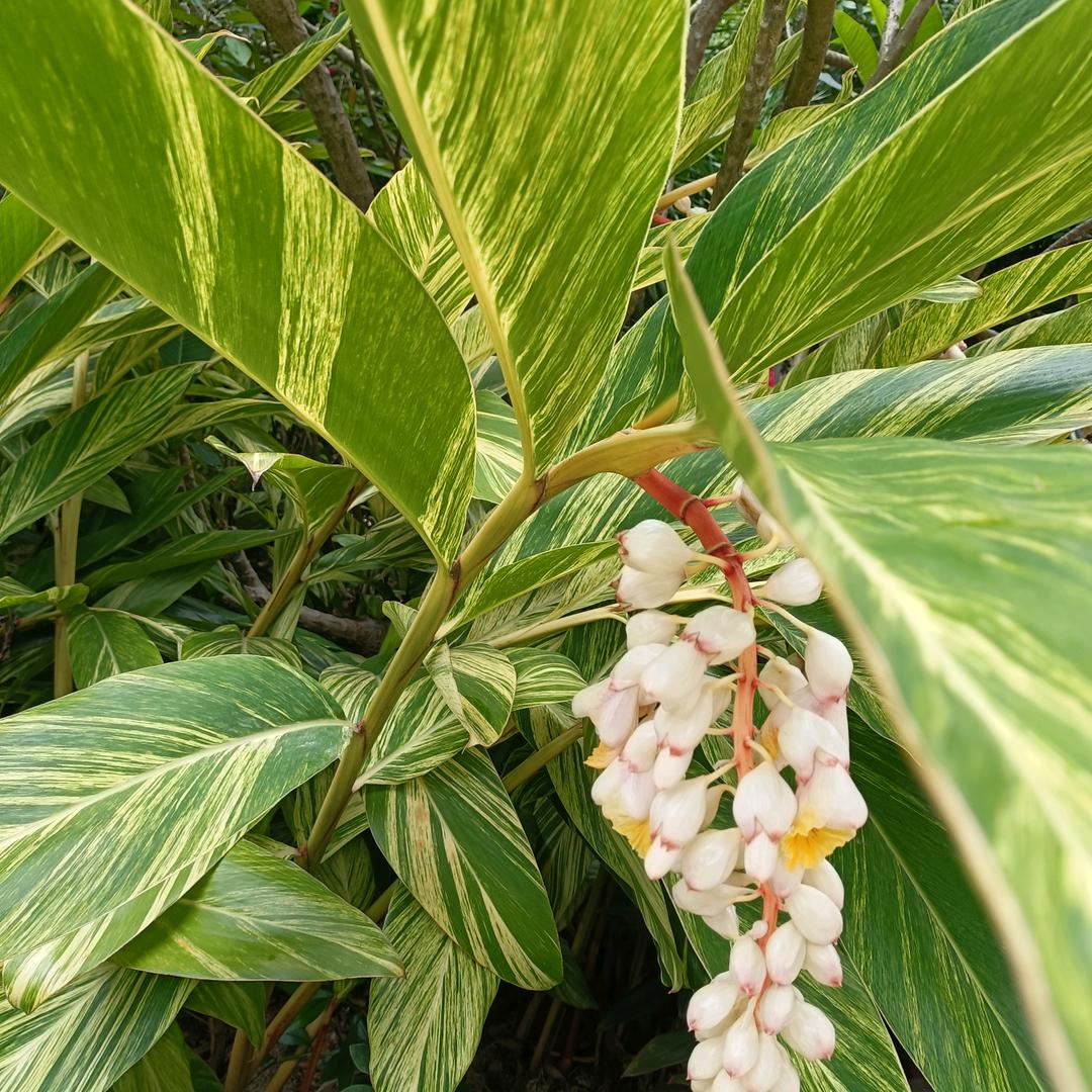 财富