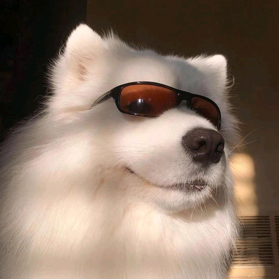 阿众🇨🇳