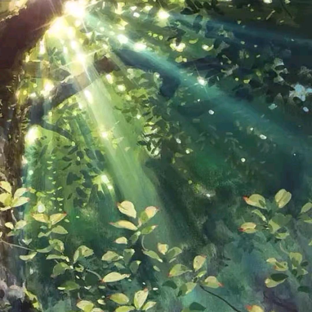 星星雨