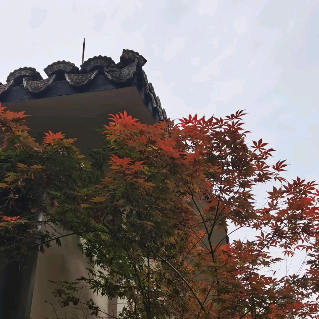静影