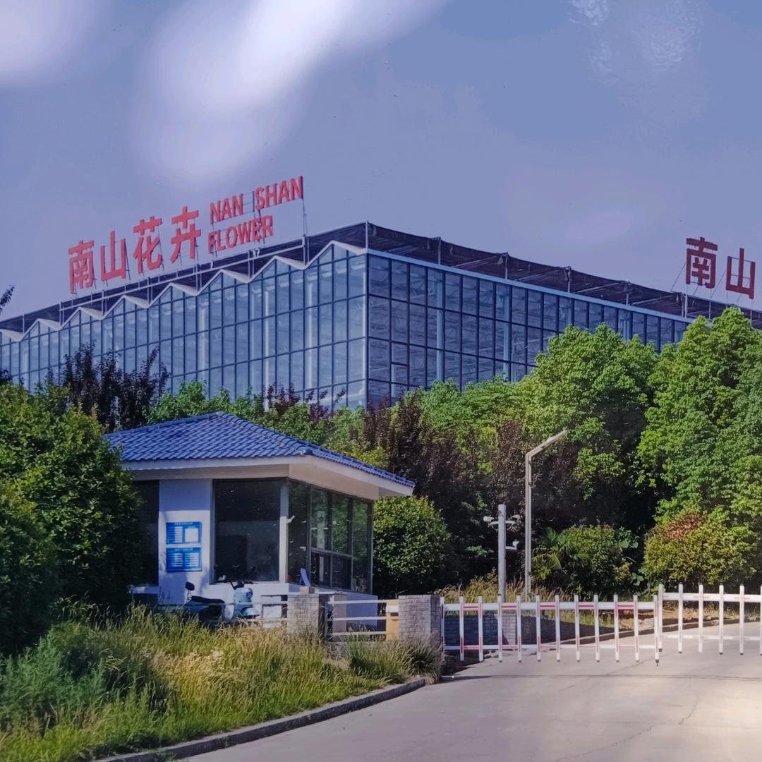 南山花卉会客厅