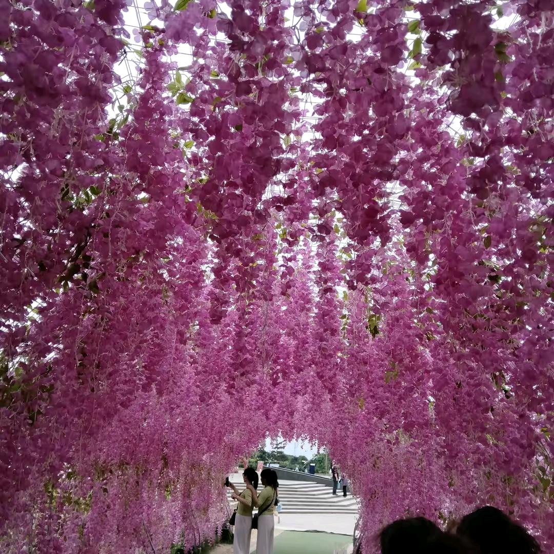 娟