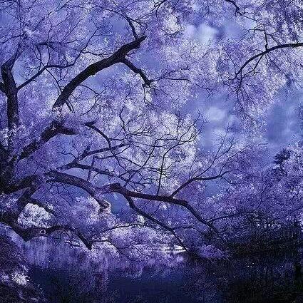 墨镜一带，谁都不爱