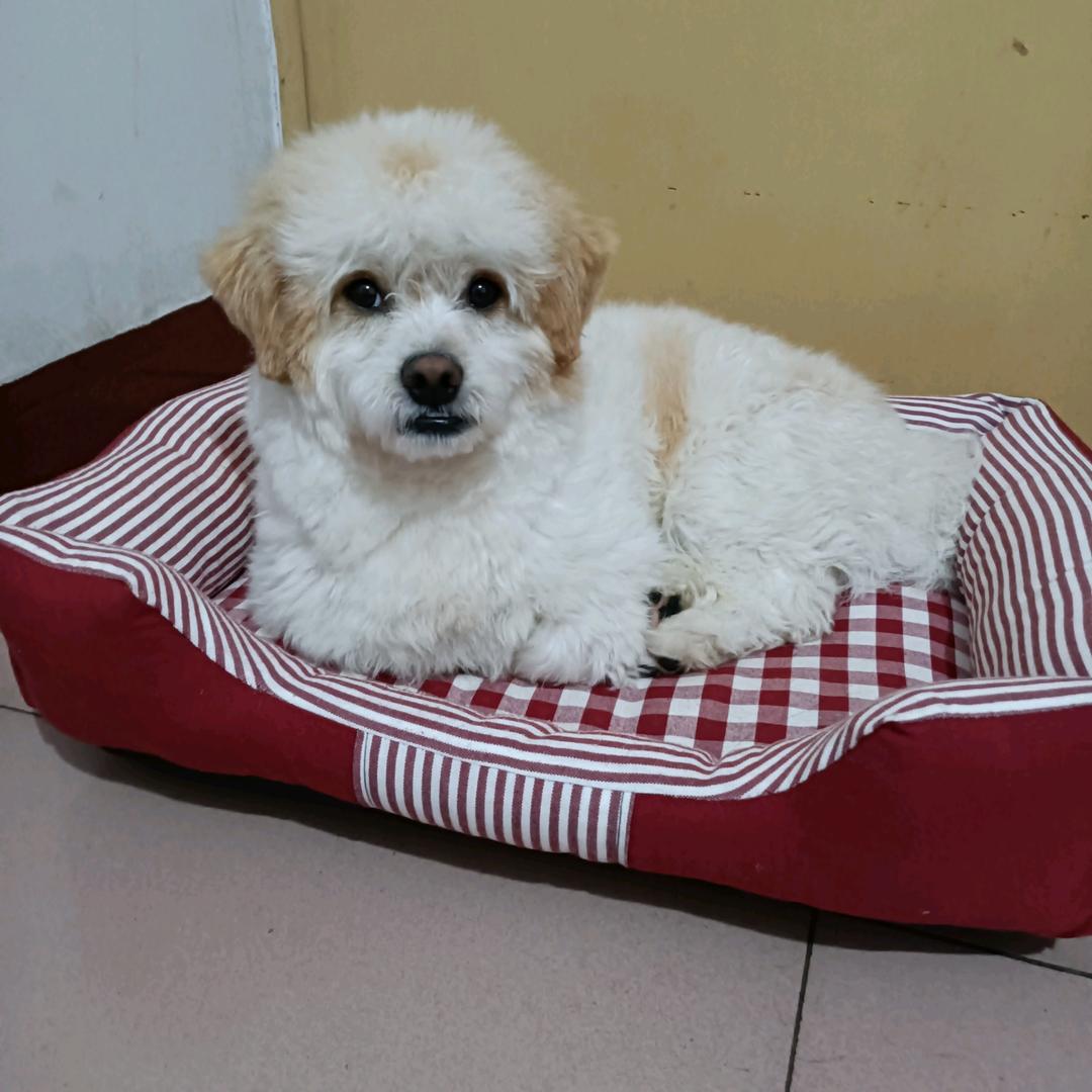 唐品斋书画装裱