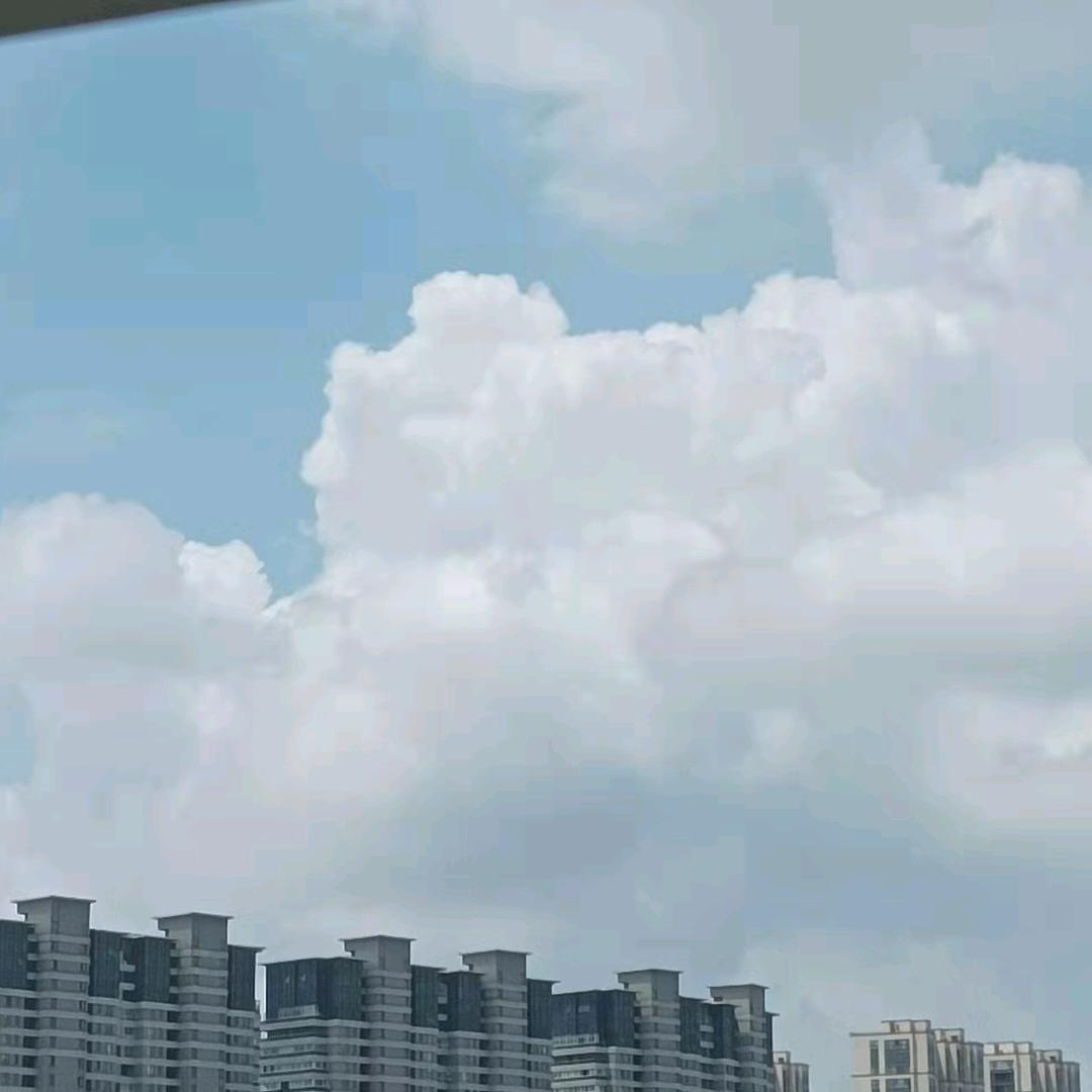 金色枫叶
