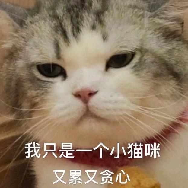 我是炎炎，川川是我的好大儿