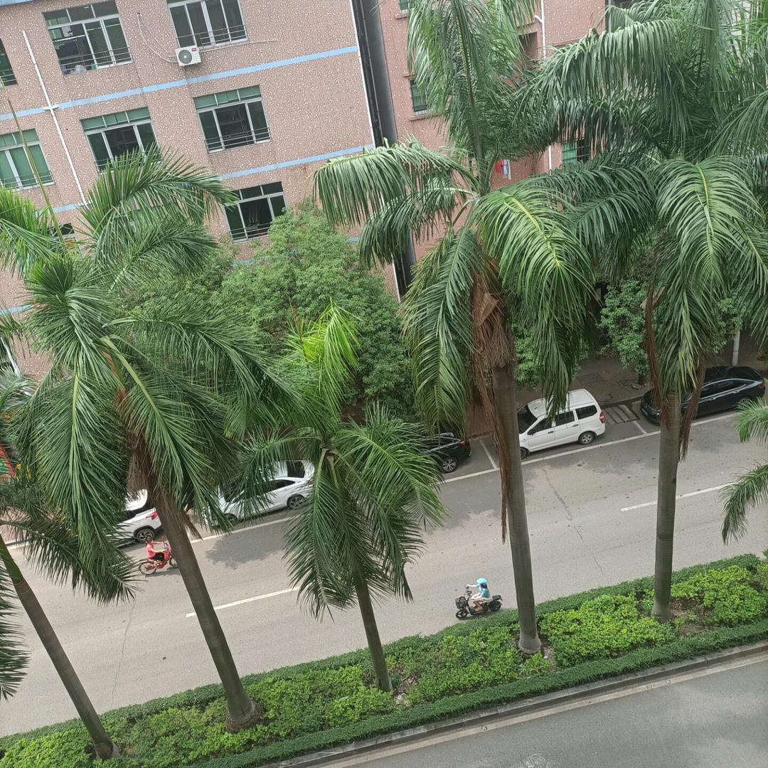 辉煌