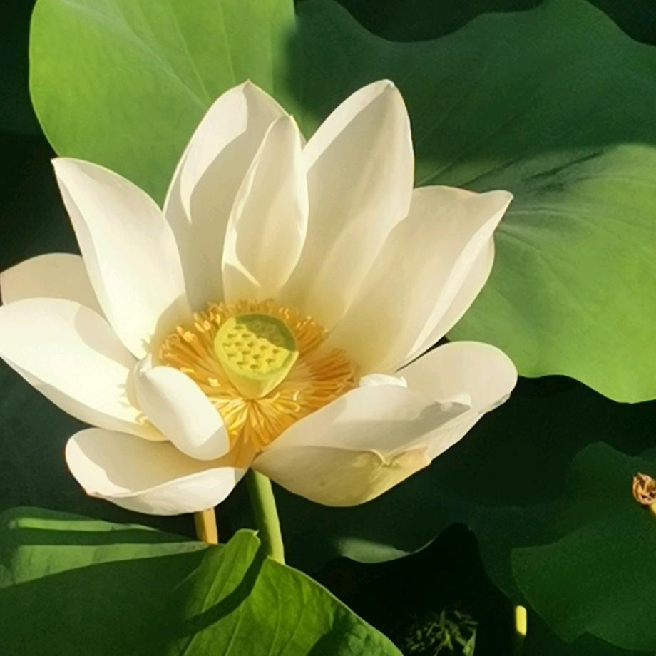 受伤怎么治愈