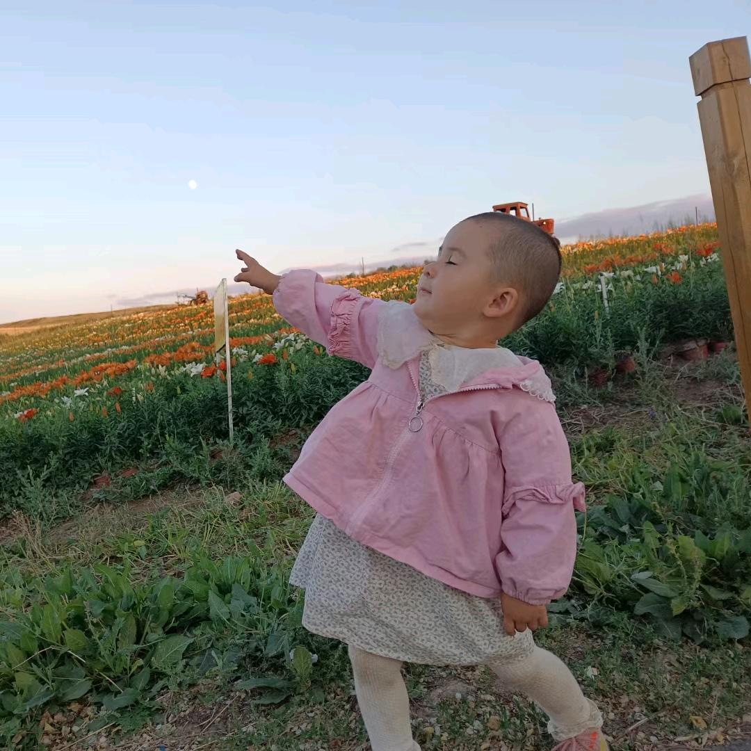 Elik（目标5000 ）