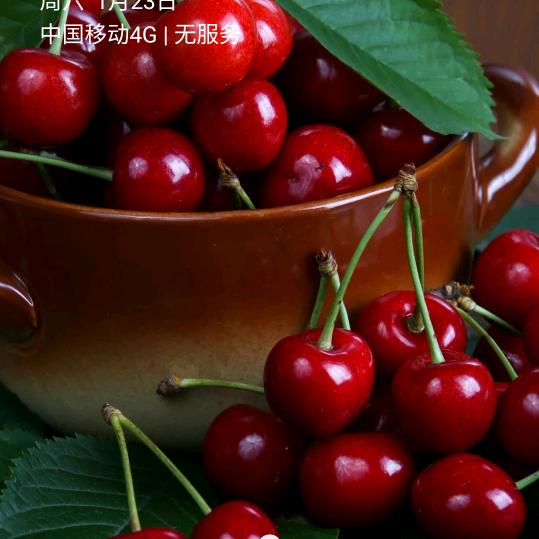 郭枣林华臻箱包厂