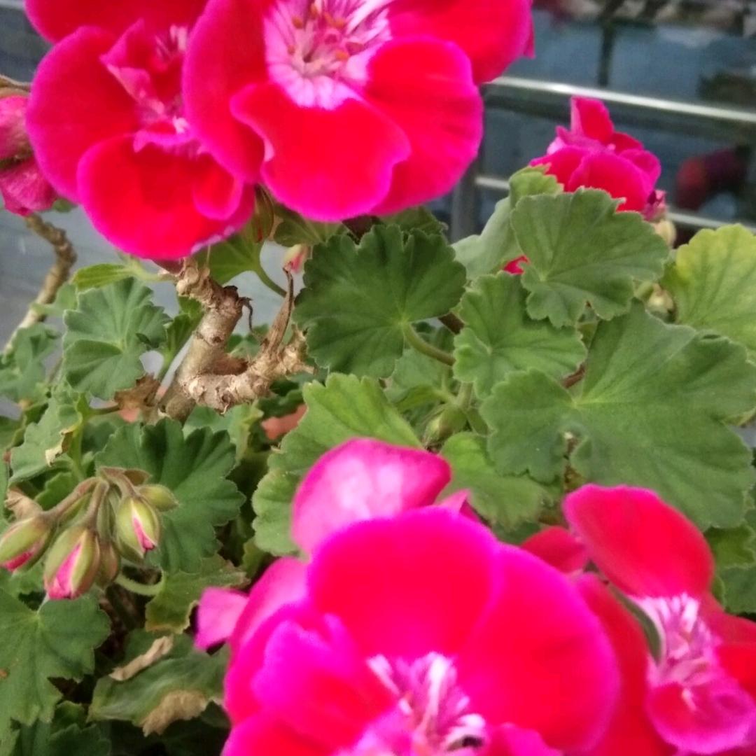 健康路健康早餐