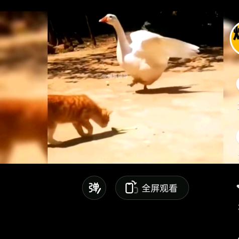 在奋斗的年纪就不选择安逸