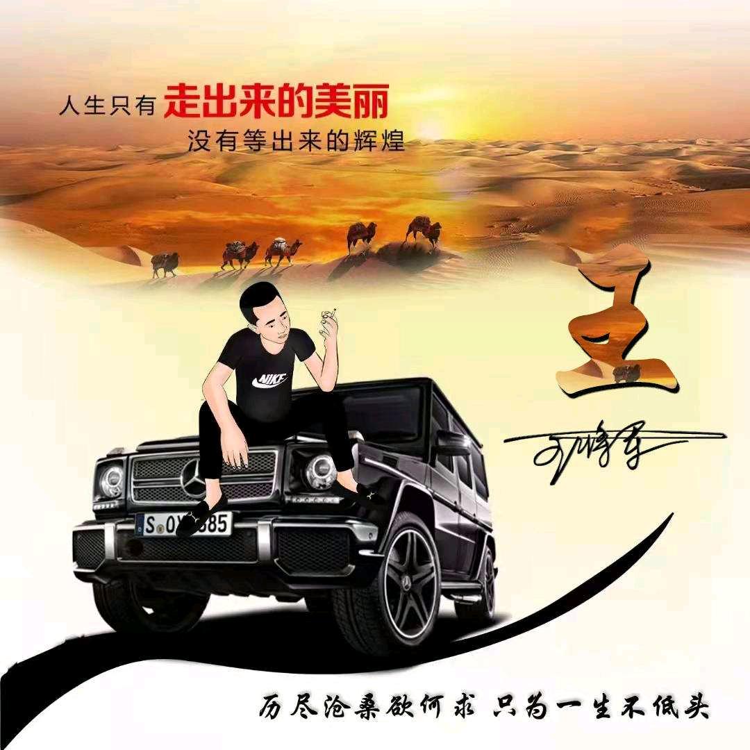 酷狼*