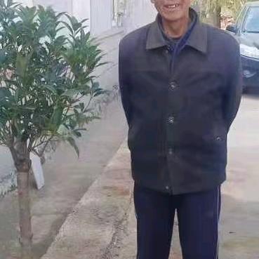 光头老李