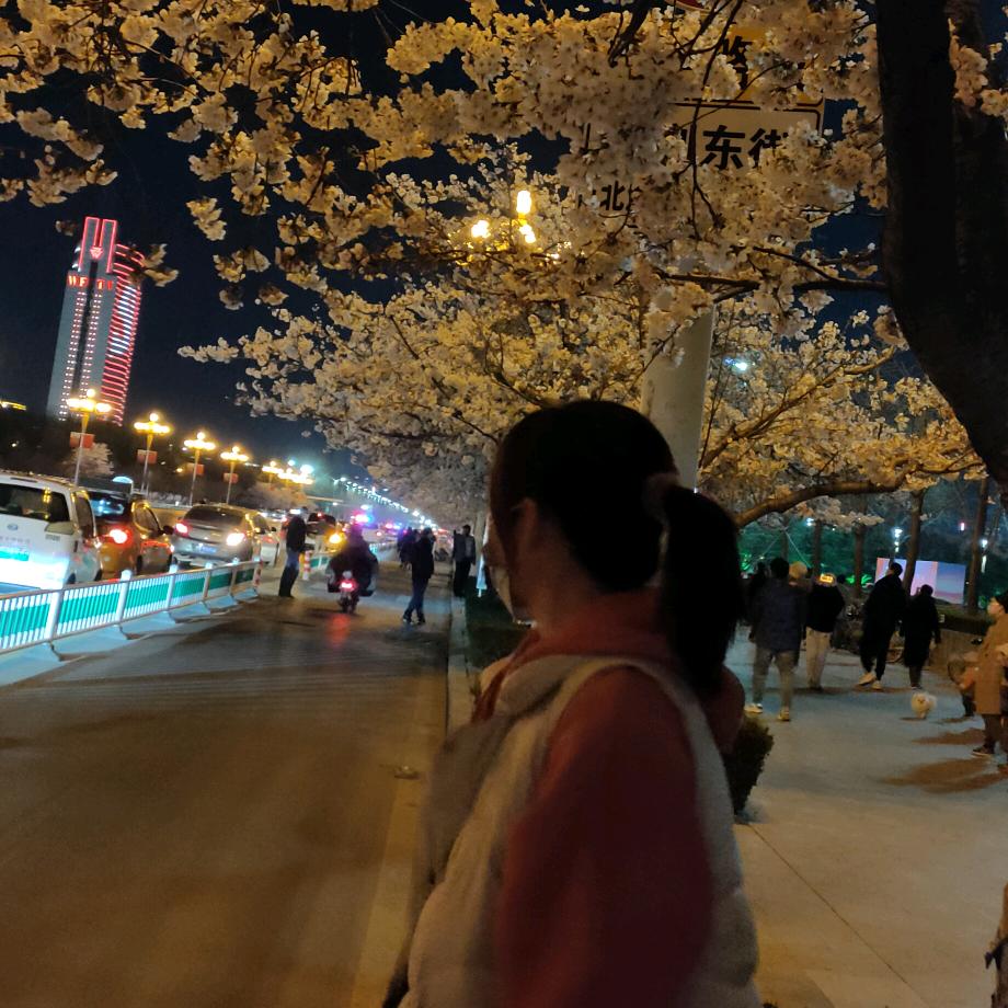谭泓
