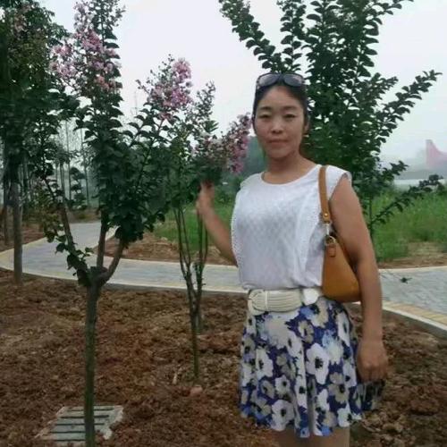 美羊羊