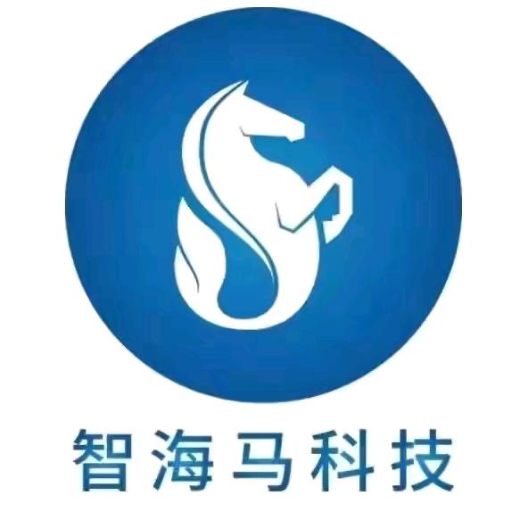 智海马英语济南区李教练