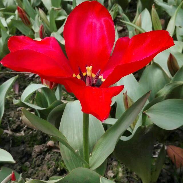 珠儿🔥风彩《橱窗好物》