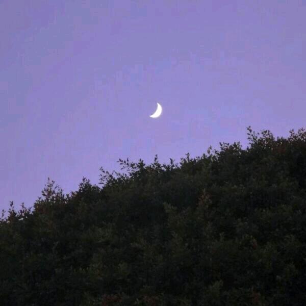 雲水