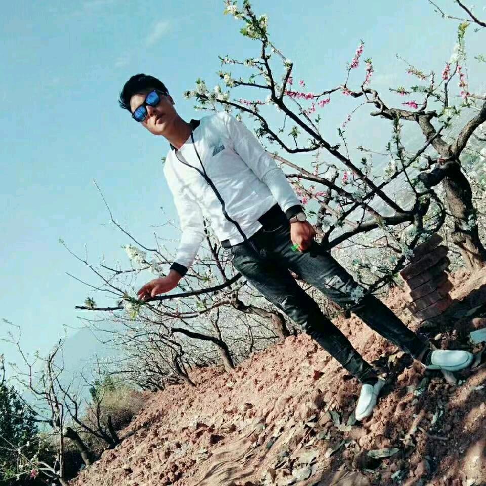 新标榜短发设计1号王明国