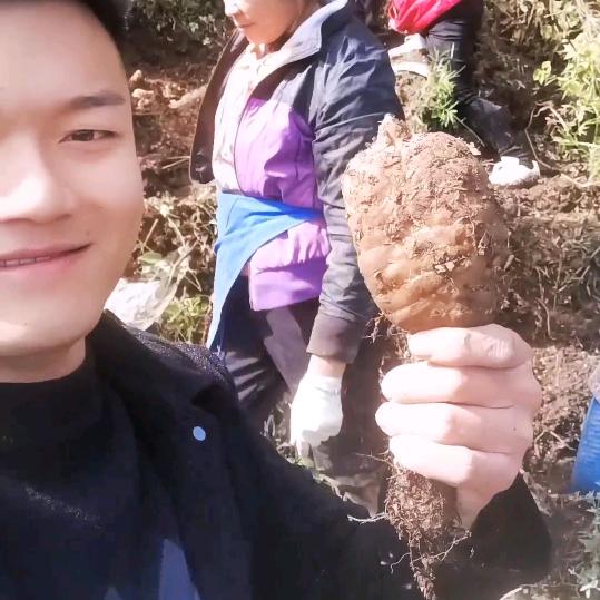 德誉天麻农产品（滋补）