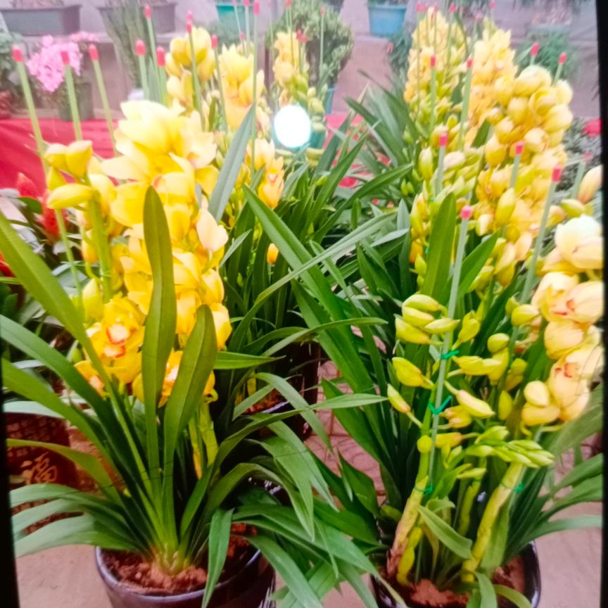 喜相逢服饰商贸