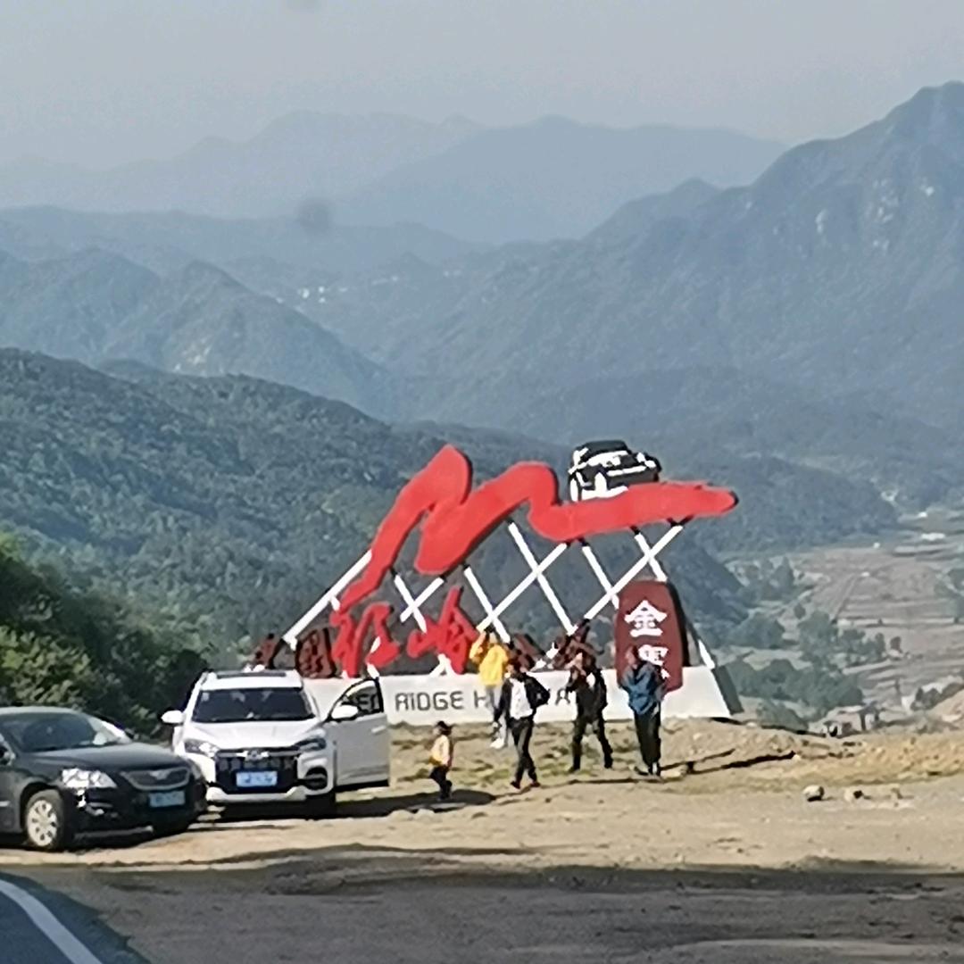 心若向阳