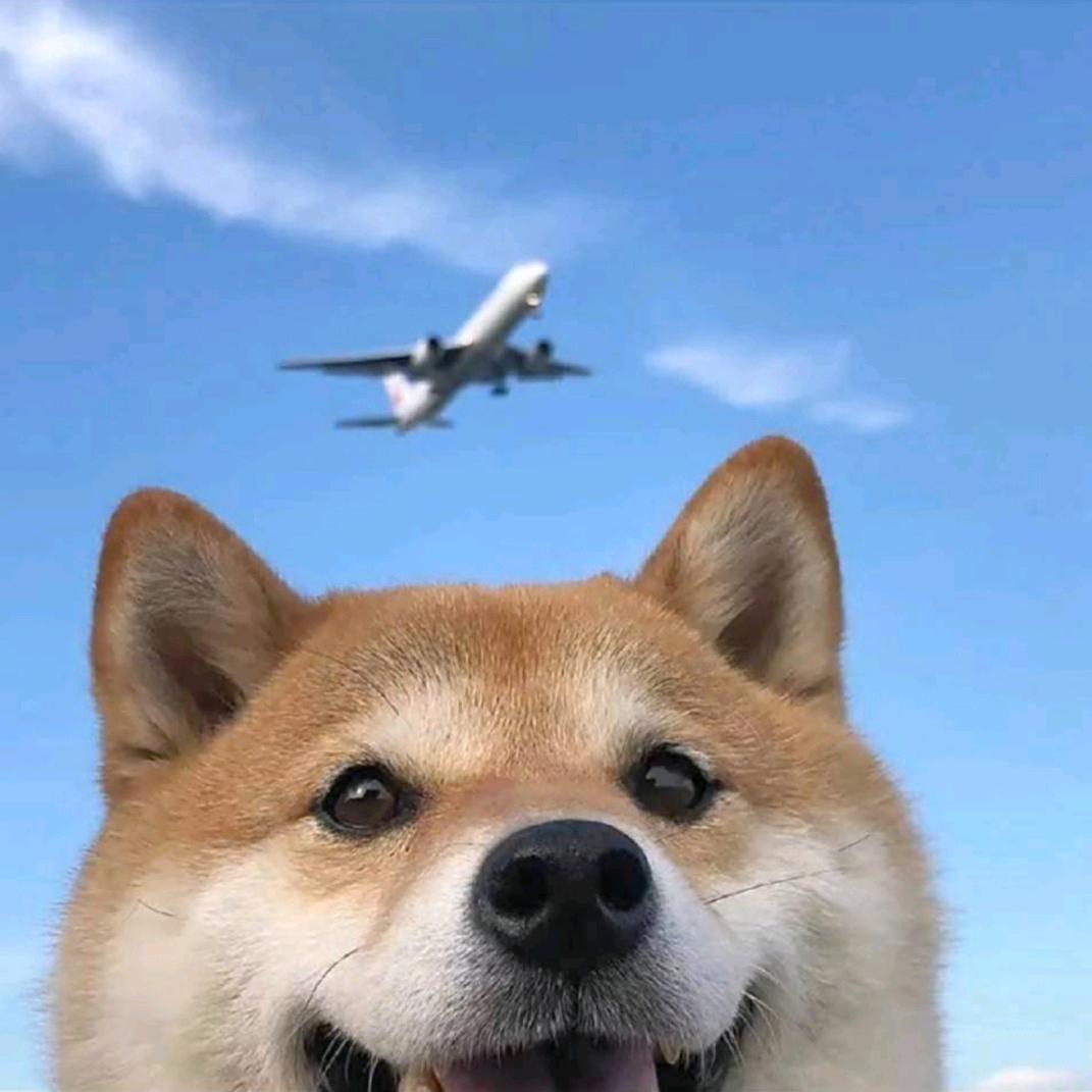 王教授不瘦