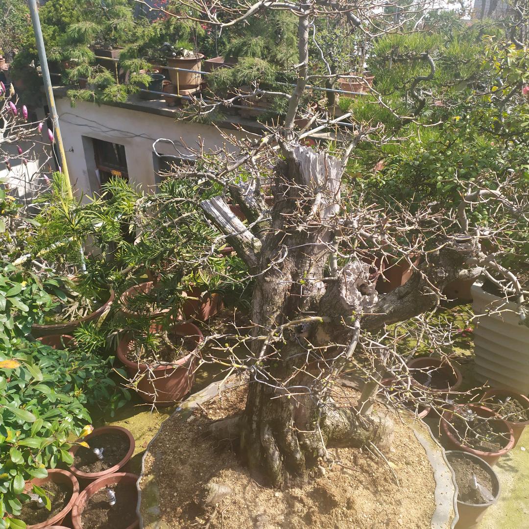 花和尚爱手工