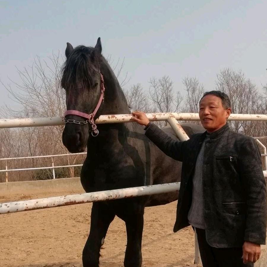泗阳成子湖跑马场