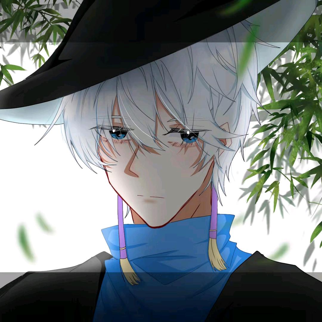 猫猫会长