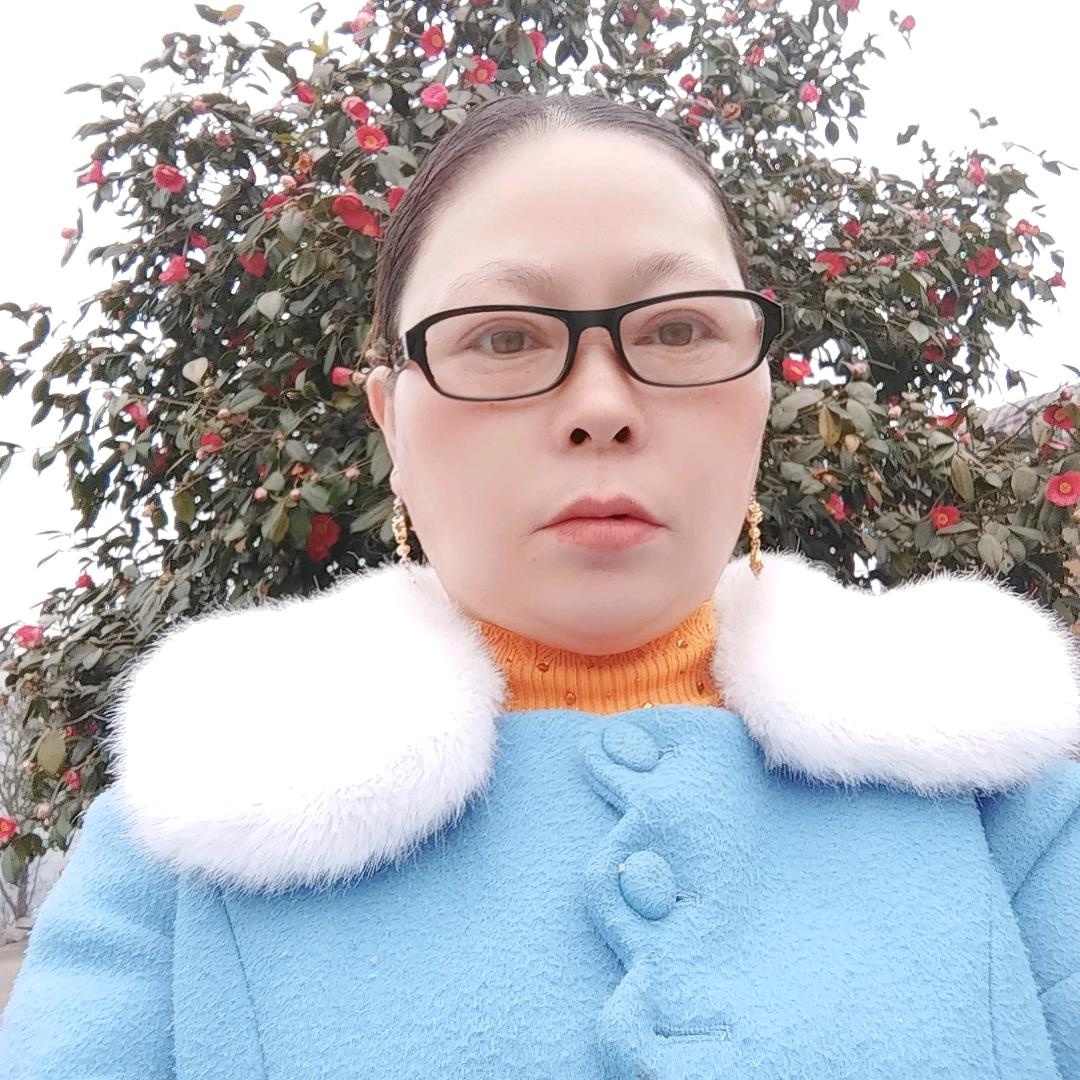小燕子