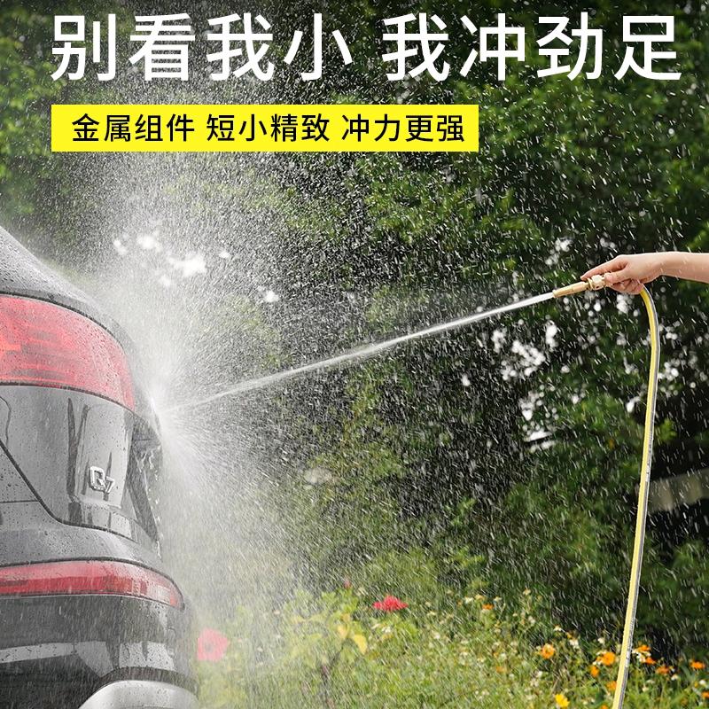花狮王严选