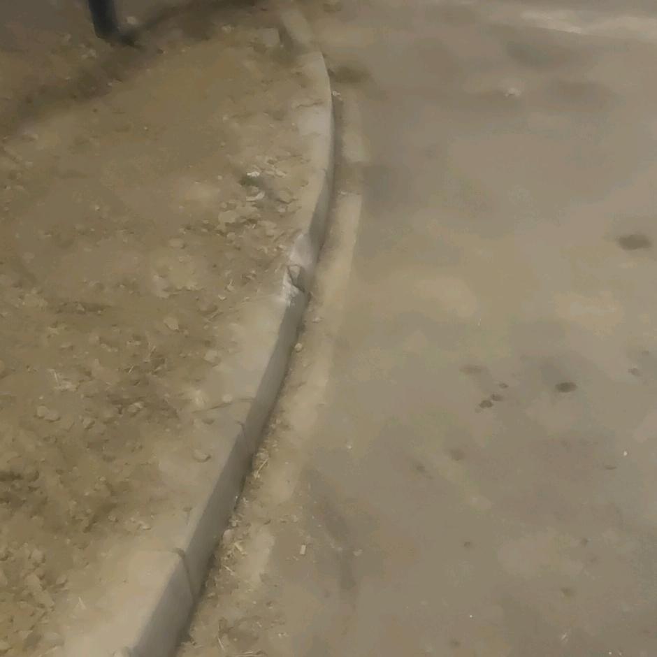 浅时光来了