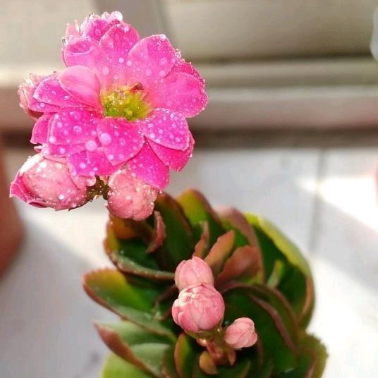 和你你日常生活