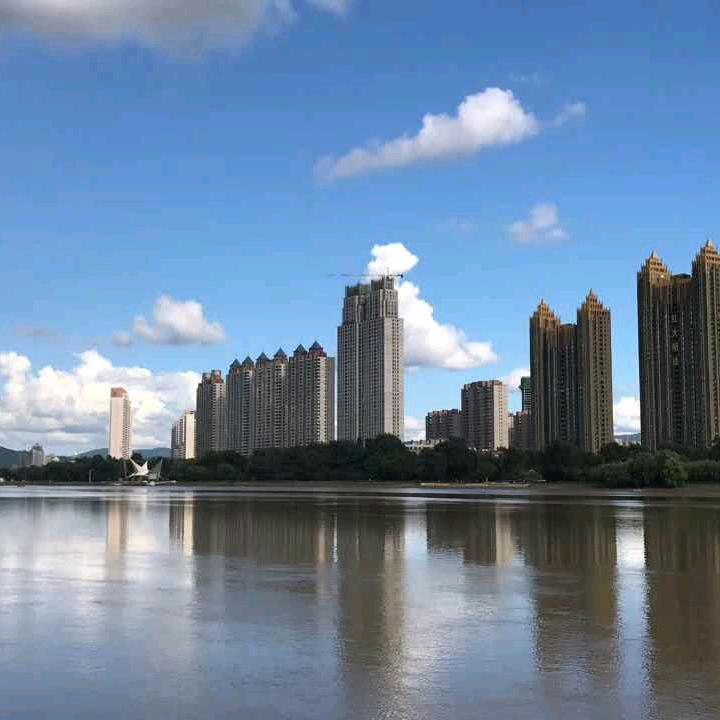 参芪绿茶