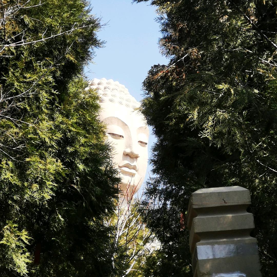 🐯  八戒