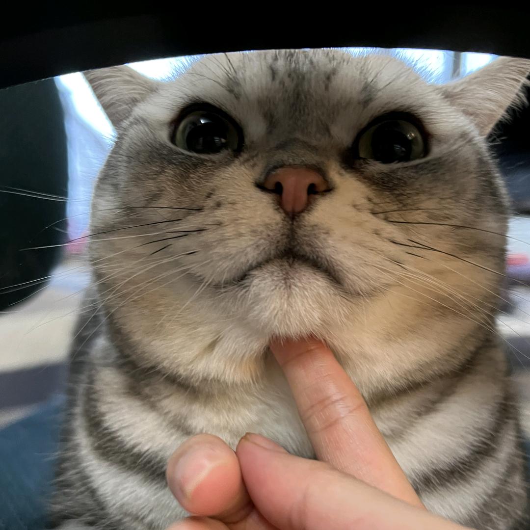 舒悦头像