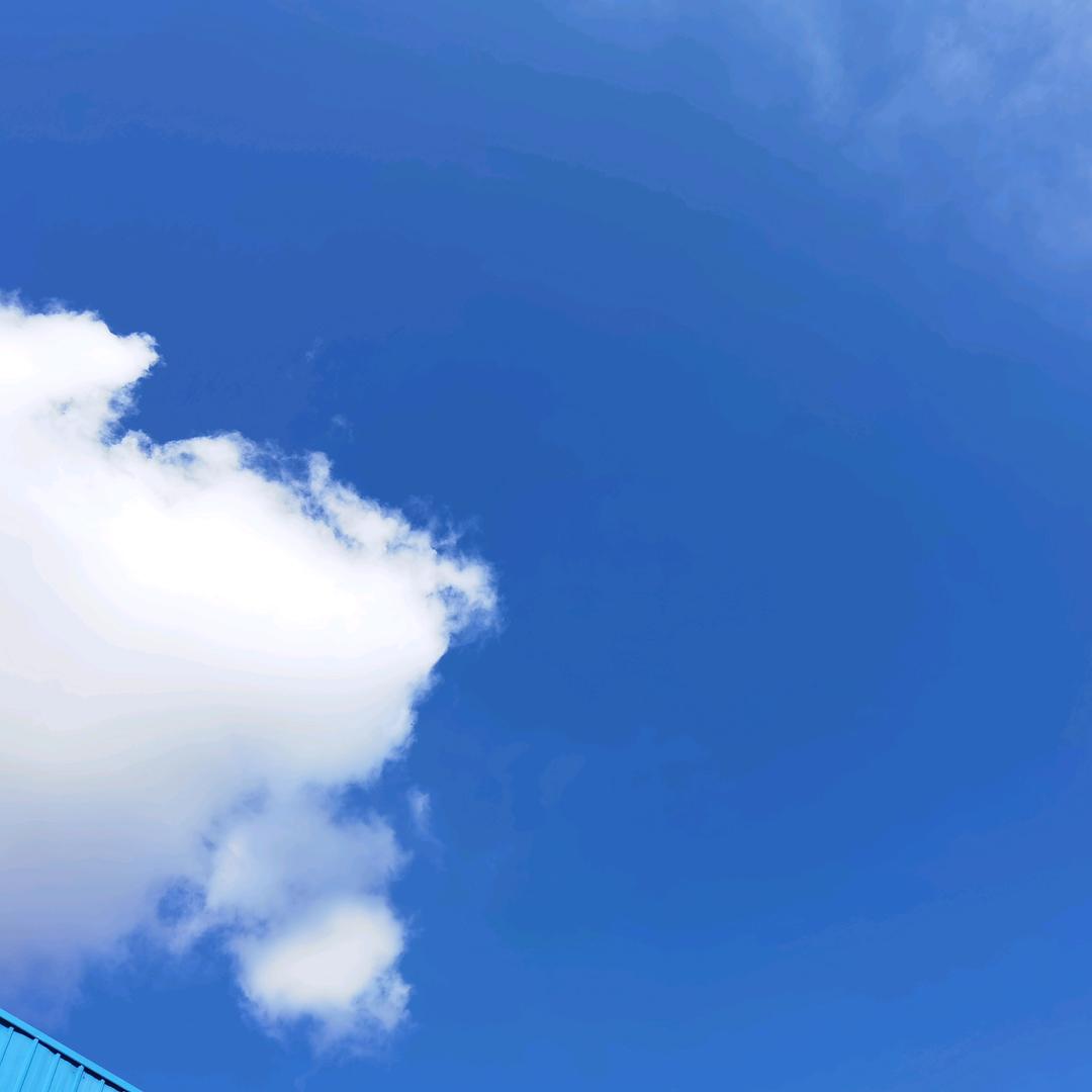 新月