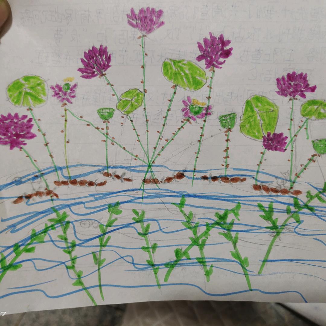 册山骨里香卤煮店