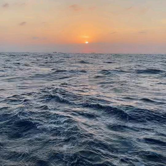 山上的石头