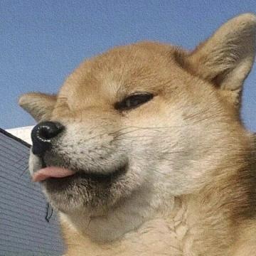 我们好像见过