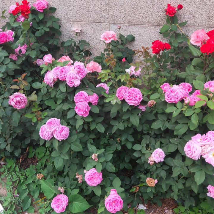 ꧔ꦿ᭄余生💞有你᭄࿐