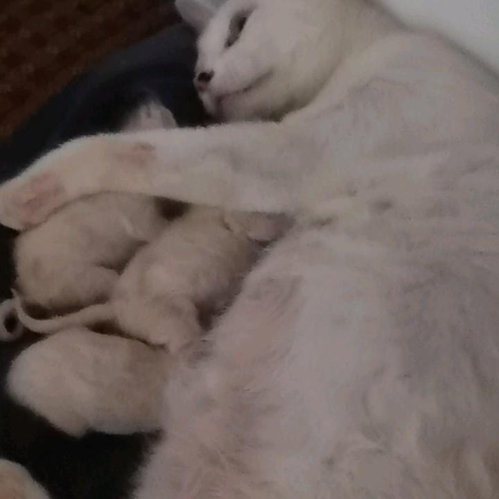 名字什么的想不来