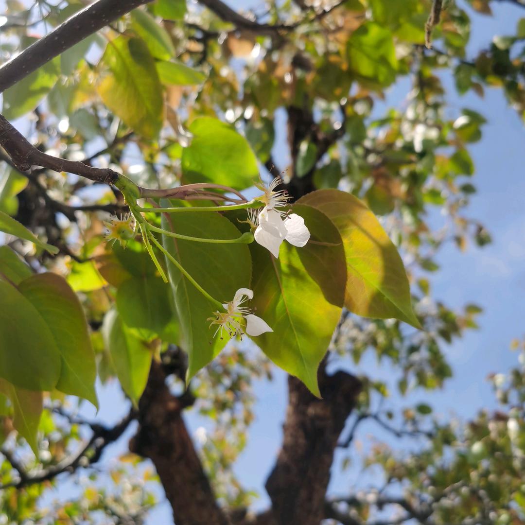 小乐呦｡･ﾉ♡