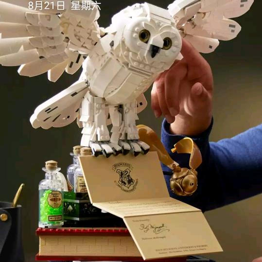 搬*砖*的*小*姐*姐